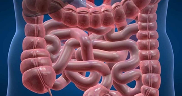 Як правильно підготуватись до КТ-ентерографії